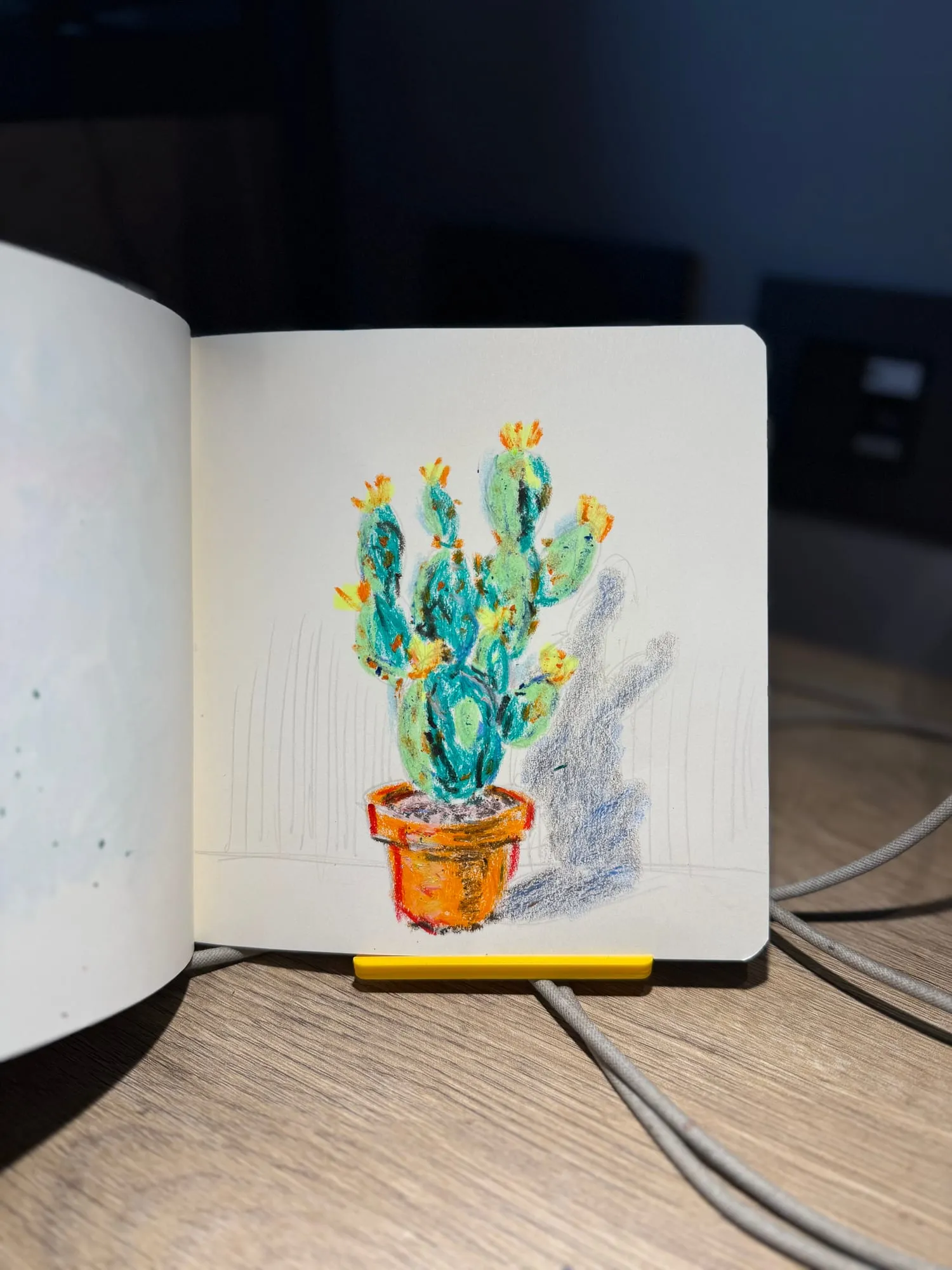 Cactus con flores naranjas en matera de barro, página de sketchbook