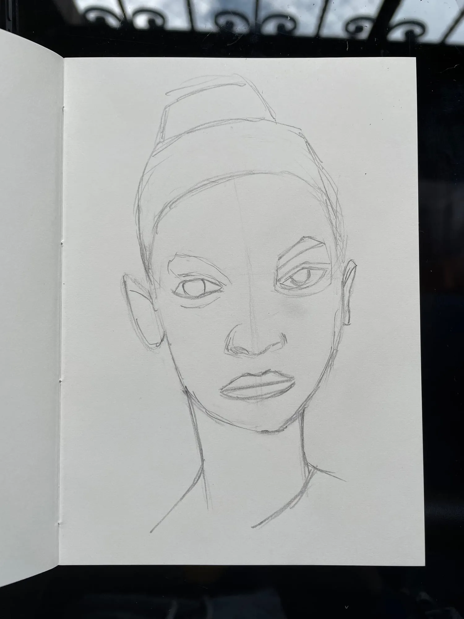 El retrato a lápiz, solo la línea